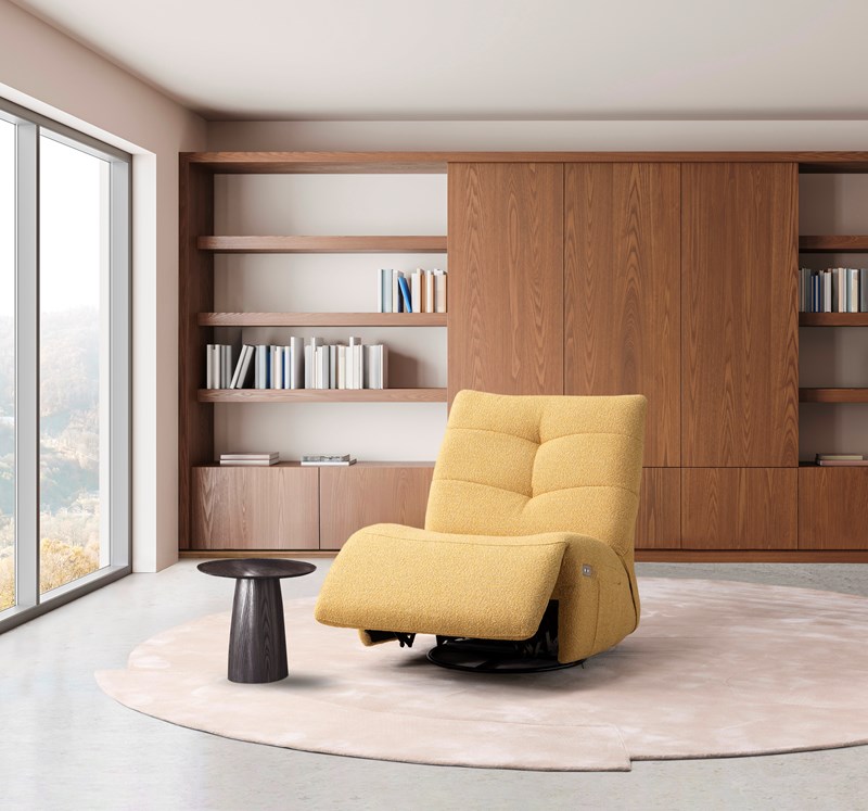 FAUTEUIL WALLY MEUBLES VRIJENS 6