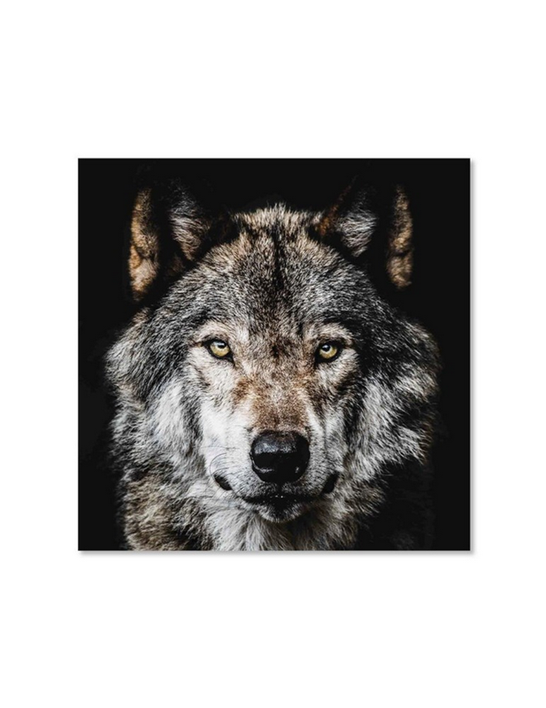 IMPRESSION 44.213 MEUBLES VRIJENS (1)