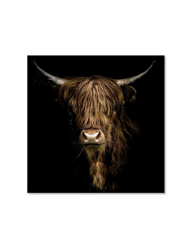 IMPRESSION 44.214 MEUBLES VRIJENS (2)