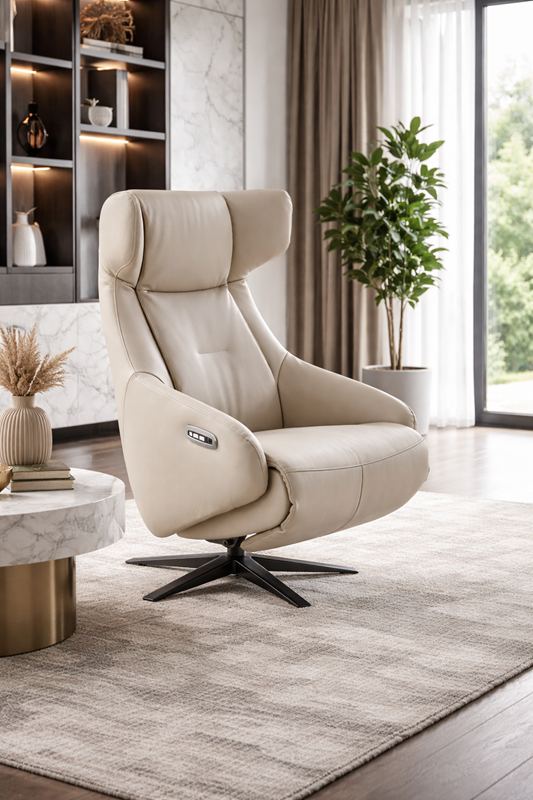 FAUTEUIL RELAX 2 MOTEURS DUMBO (1)