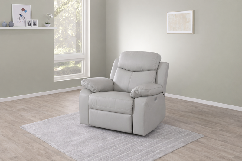 FAUTEUIL VICTORIA MEUBLES VRIJENS GRIS CLAIR