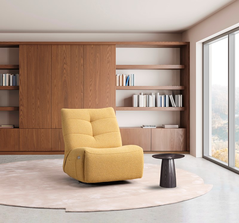 FAUTEUIL WALLY MEUBLES VRIJENS (2)