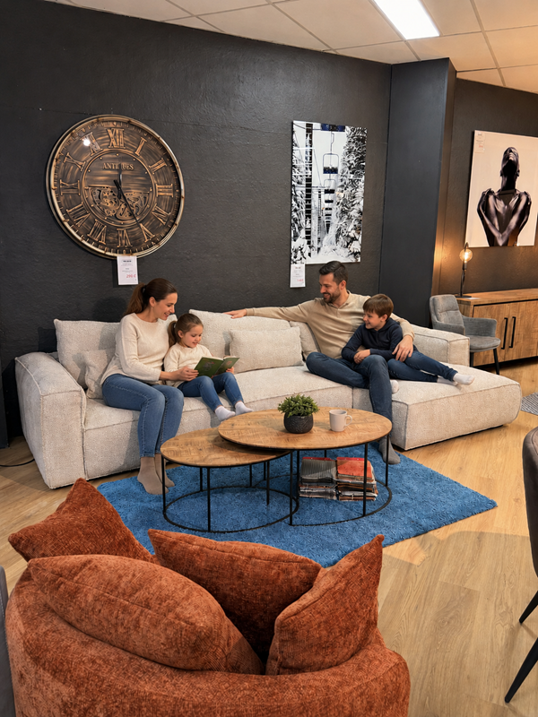 SALON DALIA MEUBLES VRIJENS (1)