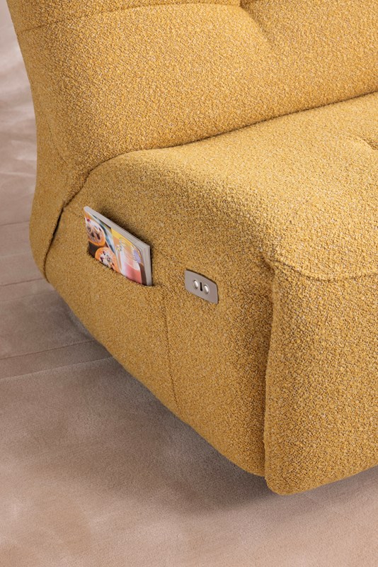 FAUTEUIL WALLY MEUBLES VRIJENS (4)